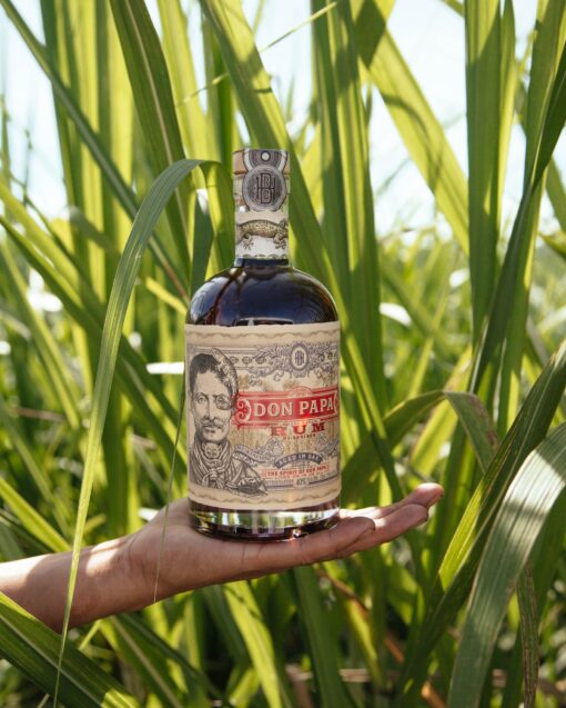 Don Papa - 0,7l - 40% - Filipíny - Image 2