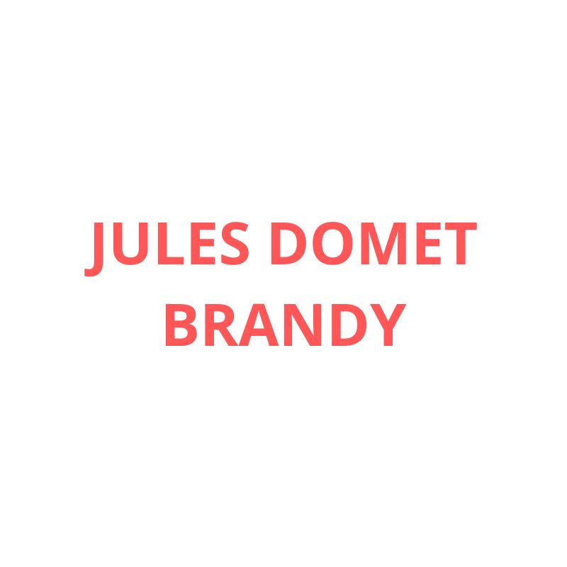 Jules Domet
